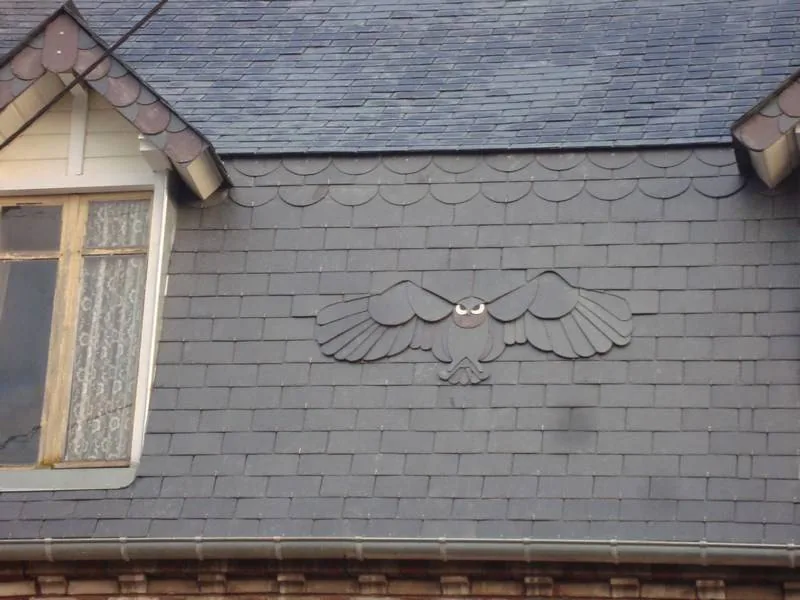 Couverture ardoise · Amiens — Toiture en ardoise avec un motif de chouette en écailles, une signature de couvreur.