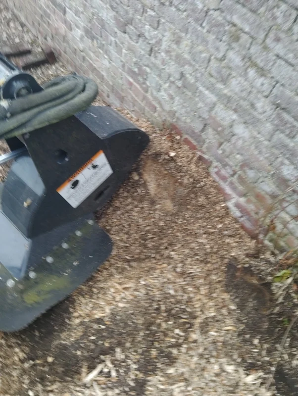 Pelouse tondue et haie taillée devant une maison de brique