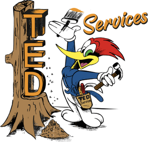 TED Services